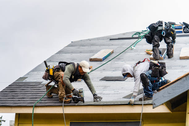 Professional Roofing technician working in Dunlow, WV